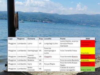 Lago maggiore inquinato