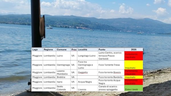 Lago maggiore inquinato