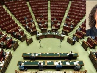 maffioli disegno legge