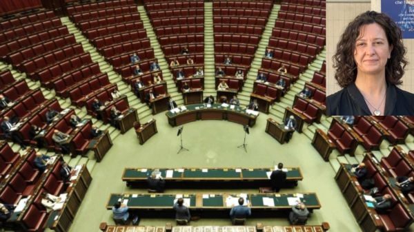 maffioli disegno legge