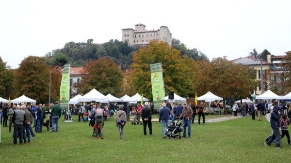 agrivarese angera ottobre