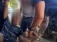 legnano scippo arresto video