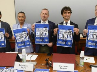 remigrazione rimpatri parole