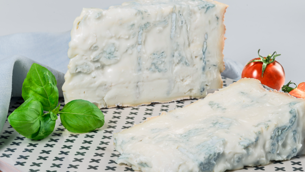 Novara gorgonzola esportazioni mercato