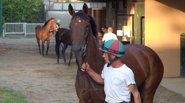 ippodromo varese fiducia rilancio