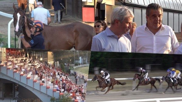 ippodromo varese ripartito