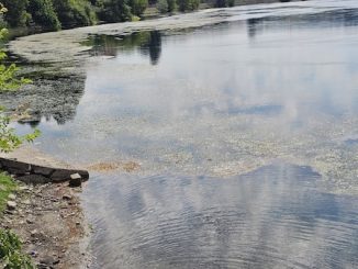 lago maggiore livello idrico