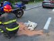 lonate pozzolo incidente moto
