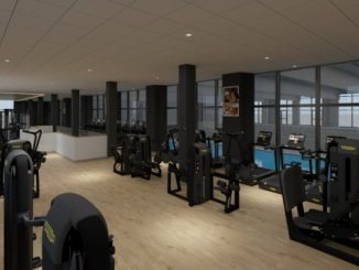 luino lavori betulle palestra