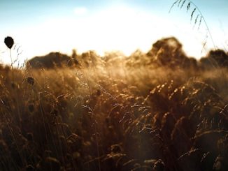 temporali pressione sereno caldo