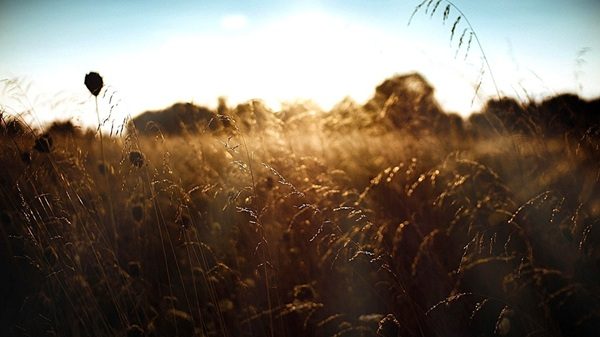 temporali pressione sereno caldo