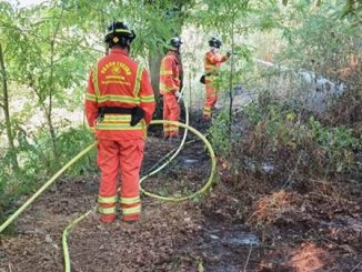 parco ticino incendi