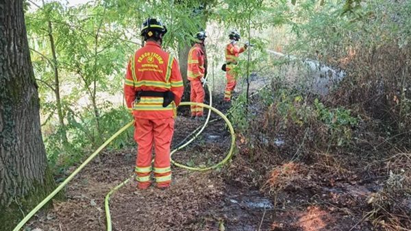 parco ticino incendi