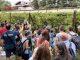 cuggiono vendemmia uva baragioeu