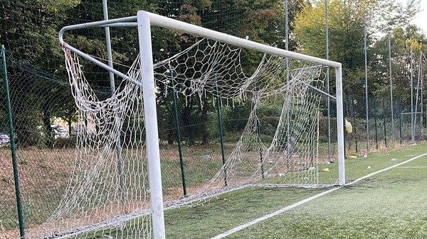 Varese Bustecche vandali