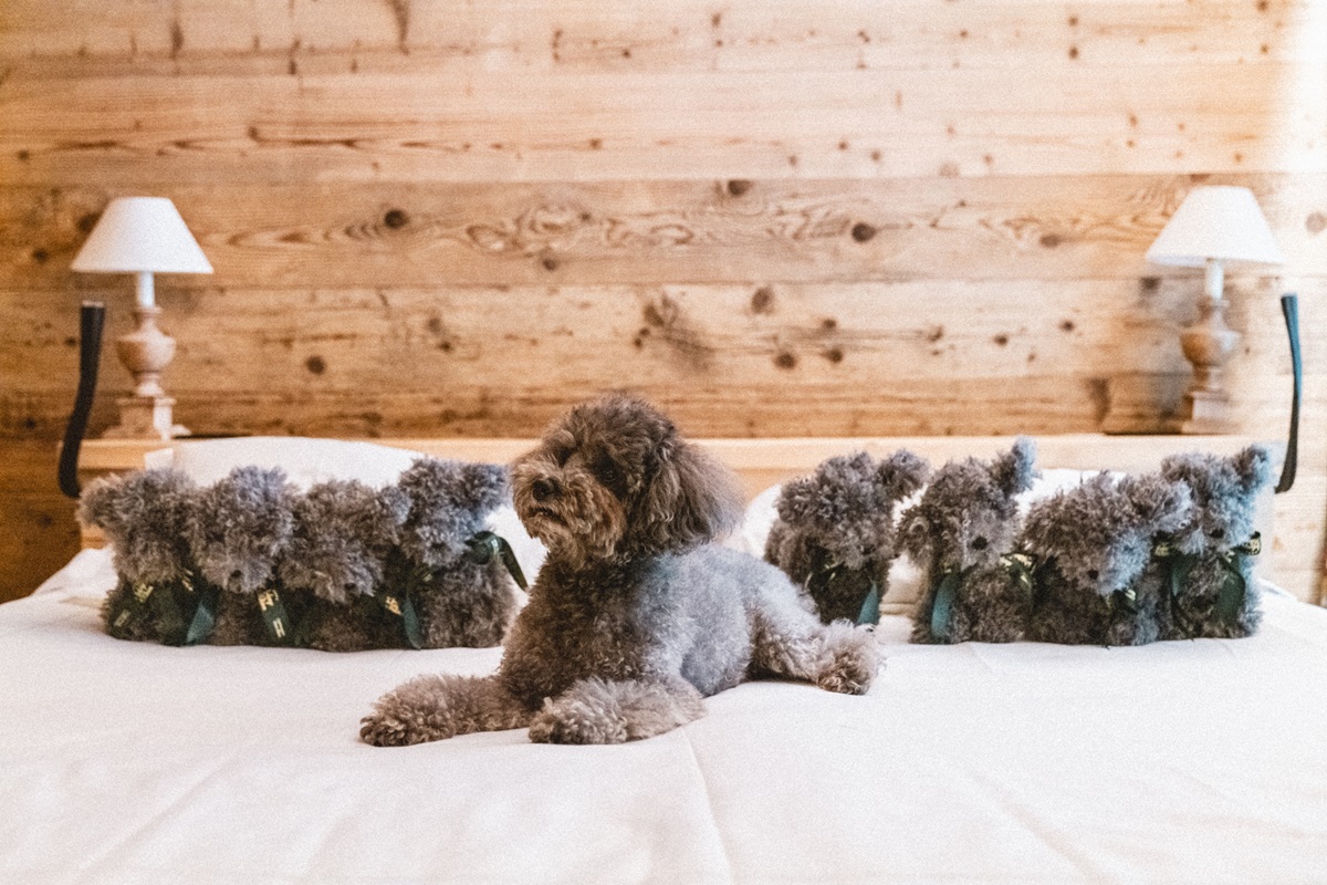 Courmayeur: Auberge de la Maison
