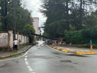 Gallarate nubifragio segnalazioni
