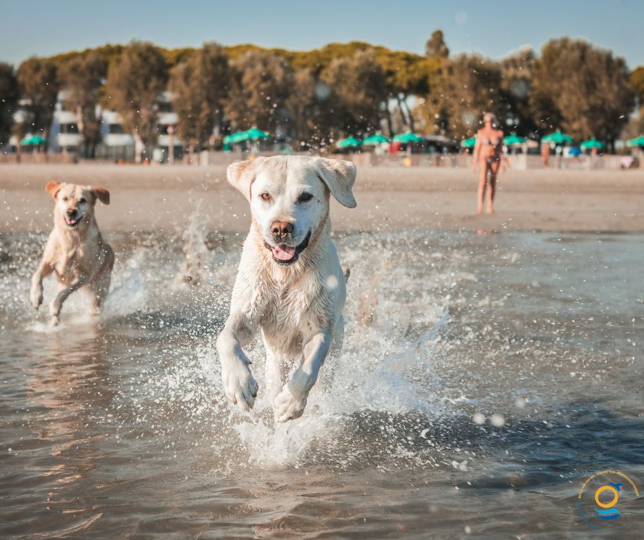 Grado: Lido di Fido