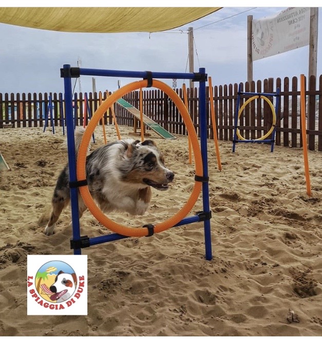 Lignano Sabbiadoro
