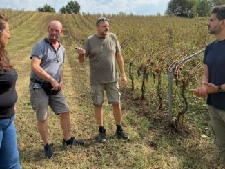 Novara danni agricoltura polemica