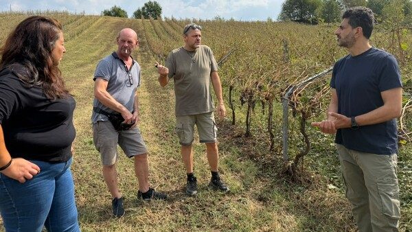 Novara danni agricoltura polemica