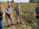 Novara danni agricoltura polemica