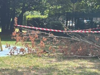 Novara parco bambini M5S interrogazione
