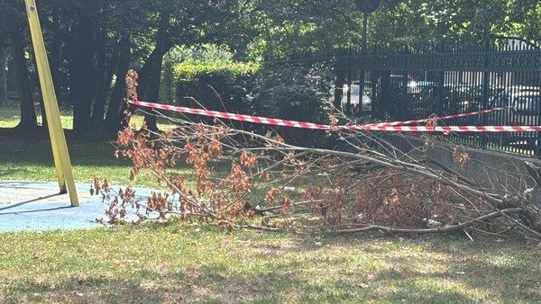 Novara parco bambini M5S interrogazione