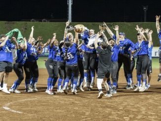 Saronno Softball Coppa Coppe