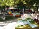equa la festa germignaga