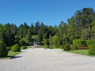 pgt varese nuovi alberi