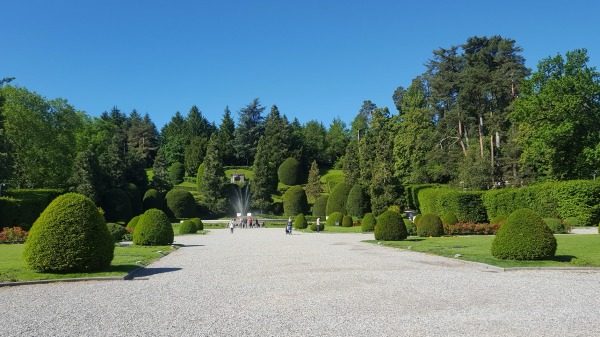 pgt varese nuovi alberi