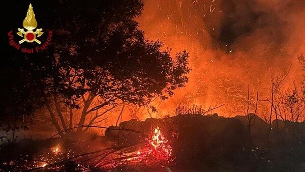 Piemonte incendi agronomi manutenzione