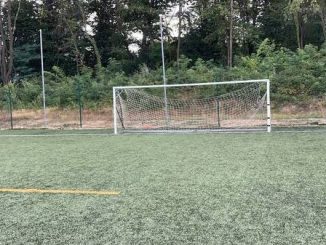 Varese Bustecche vandali