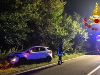 valganna albero colpisce auto