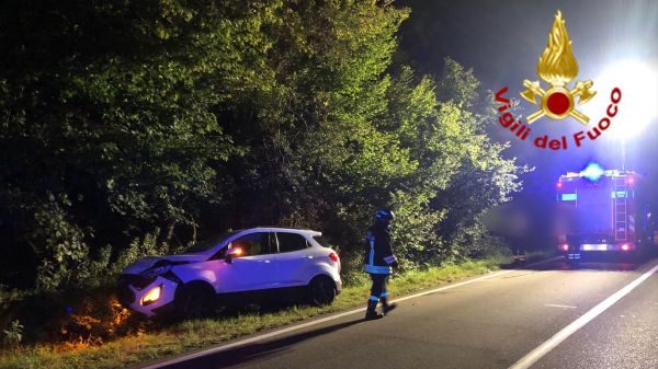 valganna albero colpisce auto