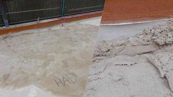 vandalismo campo bocce barasso