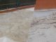 vandalismo campo bocce barasso