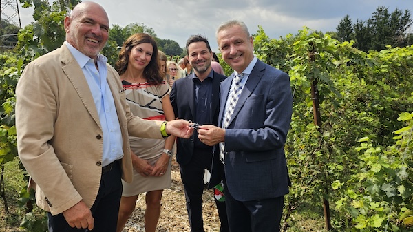 Cassano Magnago vino terradesa