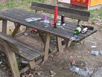 Albizzate alcool divieto degrado