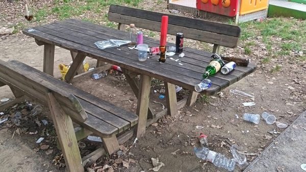 Albizzate alcool divieto degrado