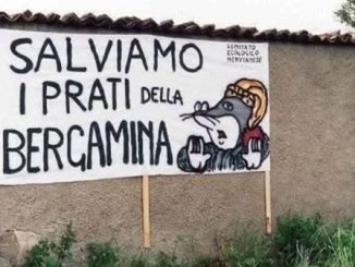 nerviano impianto fotovoltaico bergamina