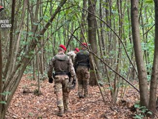 Fino Mornasco arresto spaccio