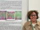 Gallarate ospedale fegato conferenza