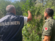 Galliate coltivazione marijuana Parco