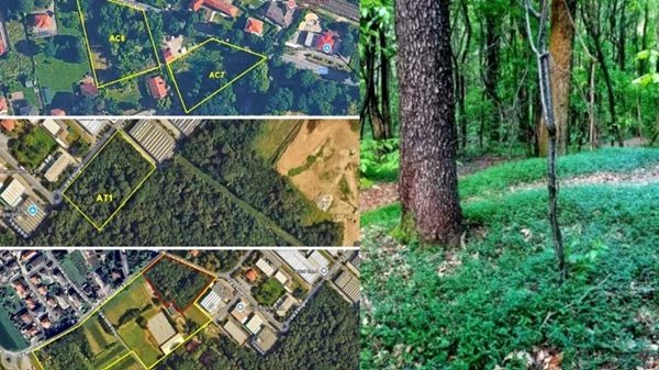Casorate Pgt comitato minoranza