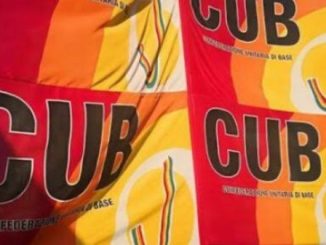 Malpensa Amazon Lavoro Cub