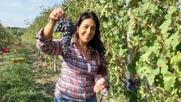 Novara intervista Paladini vino
