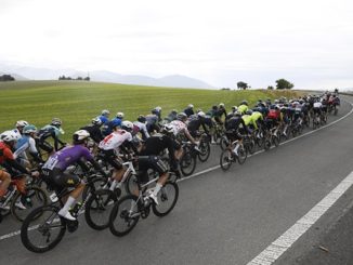 ciclismo tesserati adulti