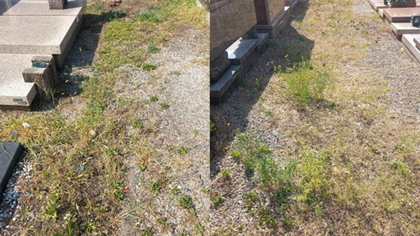 rescaldina verde manutenzione erbacce cimitero